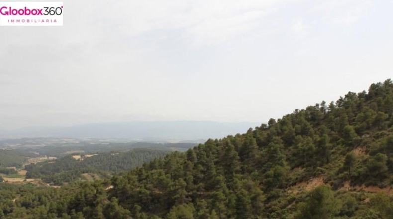 Tarragona - Blancafort - 230000m2