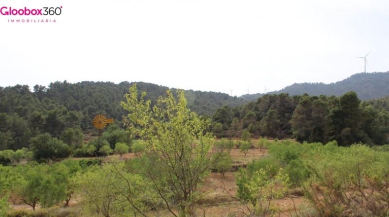 Tarragona - Blancafort - 230000m2
