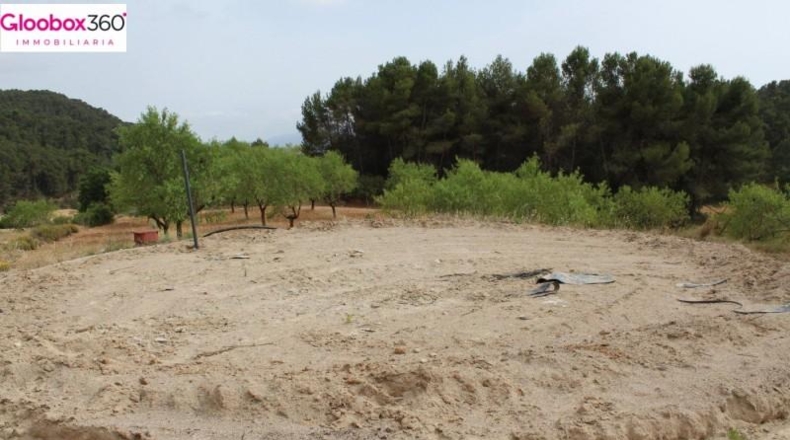 Tarragona - Blancafort - 230000m2