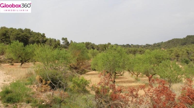 Tarragona - Blancafort - 230000m2