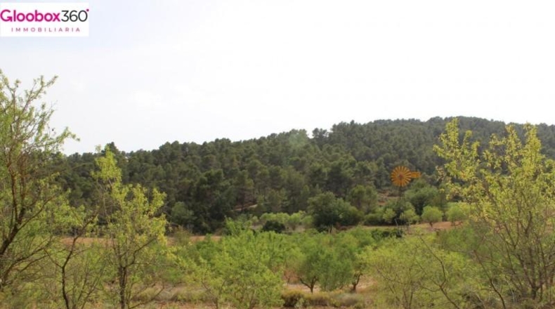 Tarragona - Blancafort - 230000m2