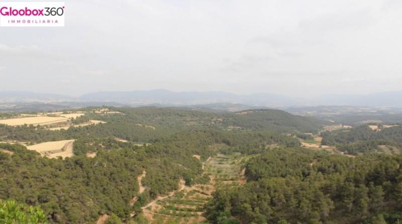 Tarragona - Blancafort - 230000m2