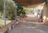 Chalet independiente con terreno en venta en la España, Hellín, ref: TR395075 foto