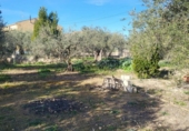Chalet independiente con terreno en venta en la España, Hellín, ref: TR395075 foto