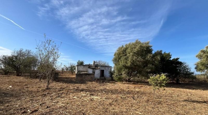 Cádiz - Chiclana de la Frontera - 7000m2