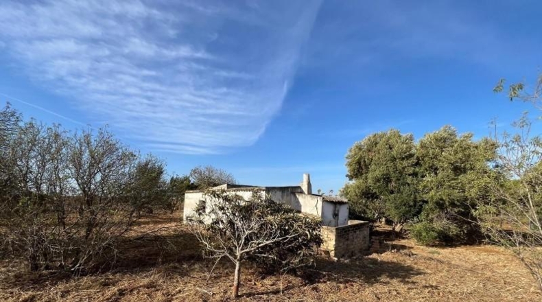 Cádiz - Chiclana de la Frontera - 7000m2