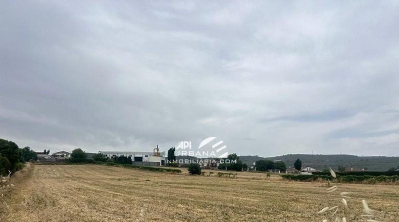Córdoba - Lucena - 1000m2