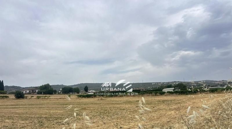Córdoba - Lucena - 1000m2