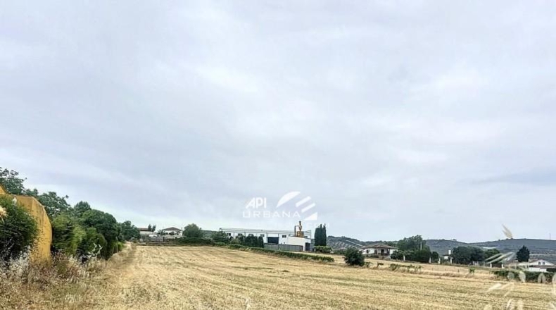 Córdoba - Lucena - 1000m2