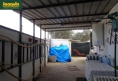 Casa de camp amb terreny en venda a la España, Alcolea, ref.: TR156947 foto