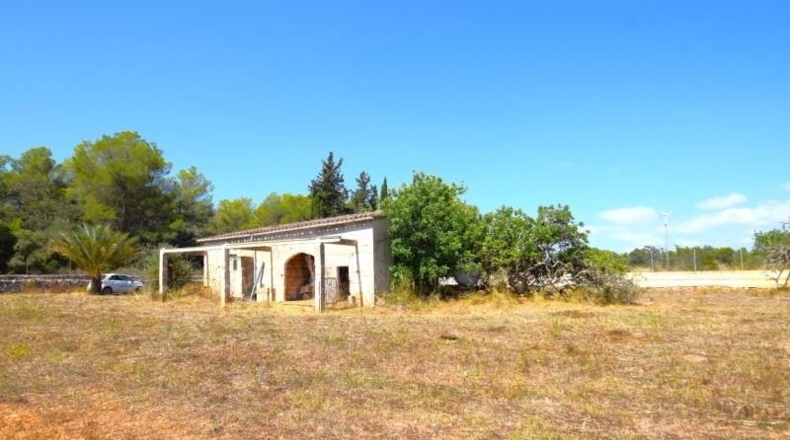 Balearic Islands - Muro - 7132m2