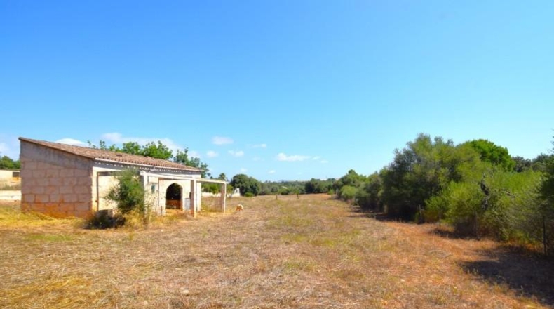 Balearic Islands - Muro - 7132m2
