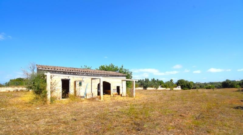 Balearic Islands - Muro - 7132m2