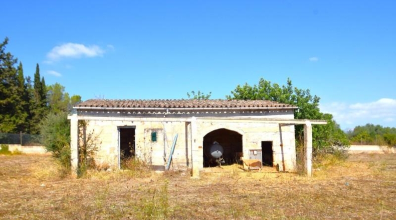 Balearic Islands - Muro - 7132m2