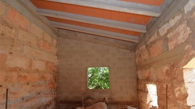 Balearic Islands - Muro - 7132m2