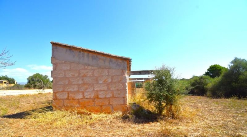 Balearic Islands - Muro - 7132m2