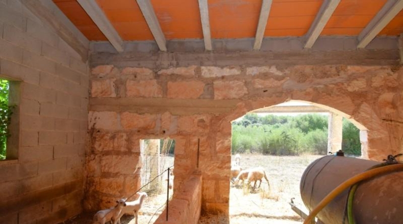 Balearic Islands - Muro - 7132m2
