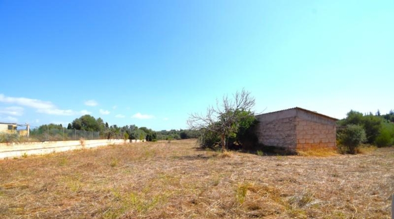 Balearic Islands - Muro - 7132m2