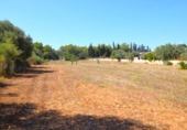 Country house with land for sale on España, Muro, ref: TR315140 photo