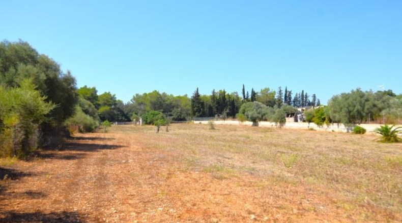 Balearic Islands - Muro - 7132m2