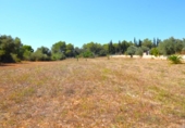 Country house with land for sale on España, Muro, ref: TR315140 photo