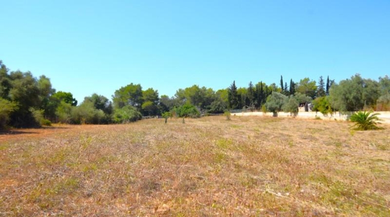Balearic Islands - Muro - 7132m2
