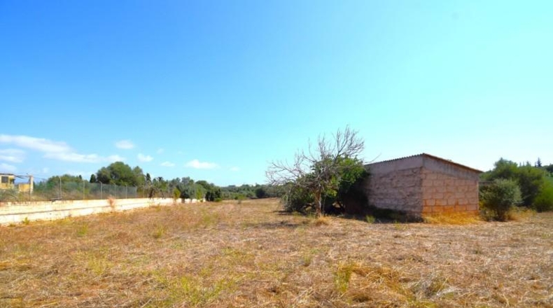 Balearic Islands - Muro - 7132m2