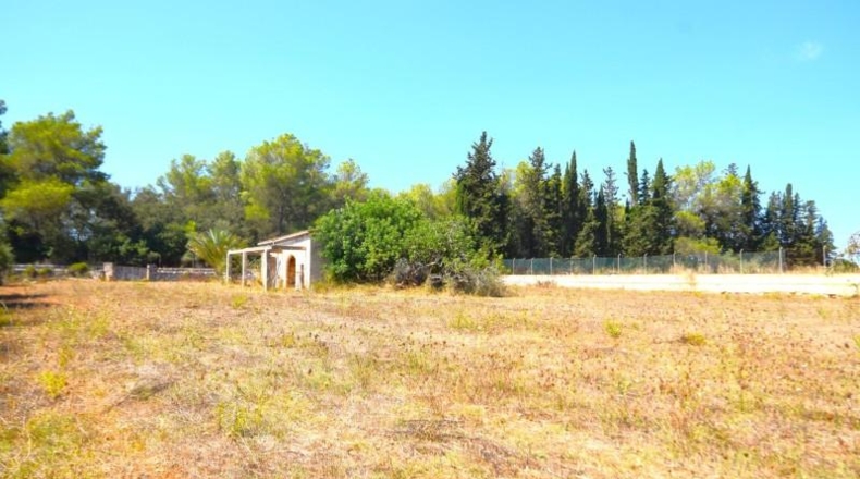 Balearic Islands - Muro - 7132m2