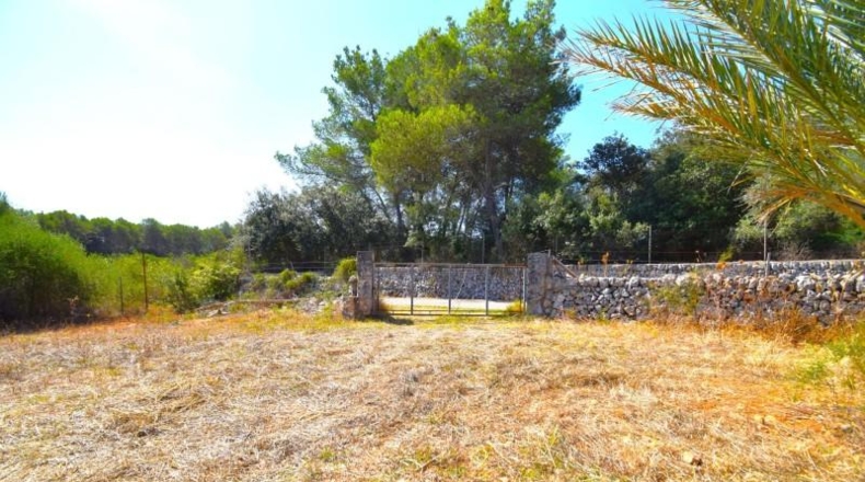 Balearic Islands - Muro - 7132m2