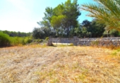 Country house with land for sale on España, Muro, ref: TR315140 photo
