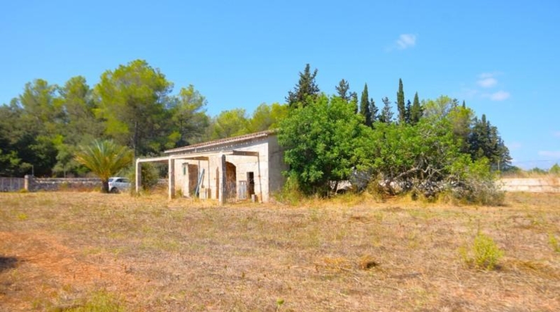 Balearic Islands - Muro - 7132m2