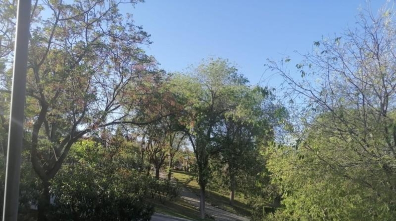 Córdoba - Priego de Córdoba - 118m2