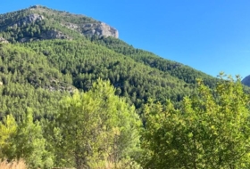 Foto 11
