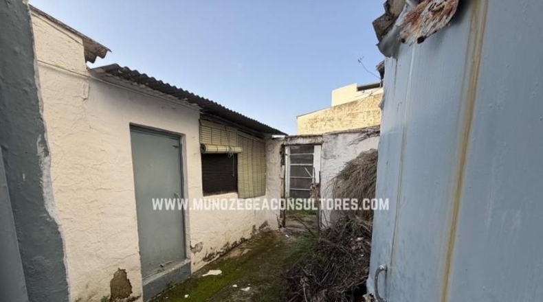 Córdoba - Lucena - 264m2