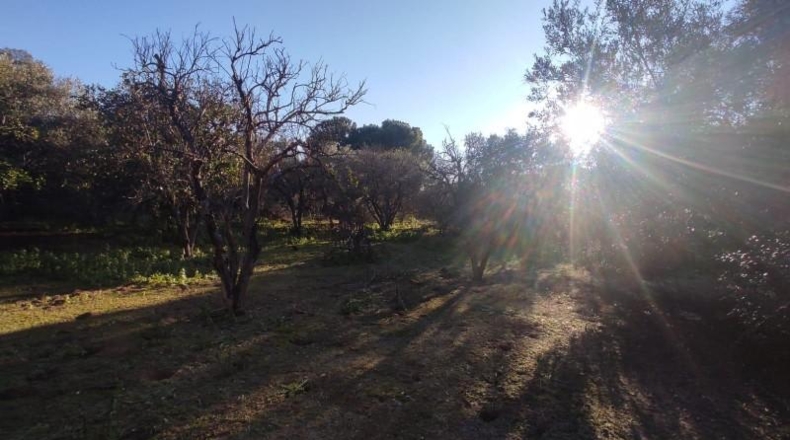 Sevilla - Marchena - 2639m2
