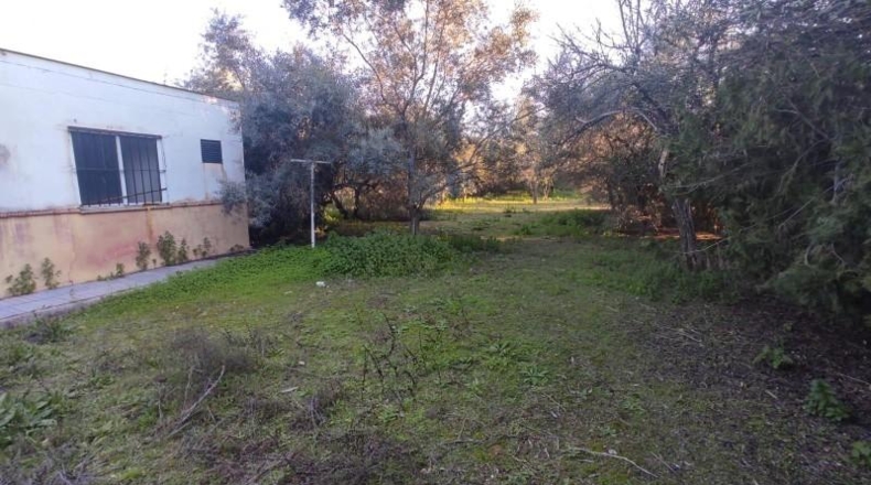 Sevilla - Marchena - 2639m2