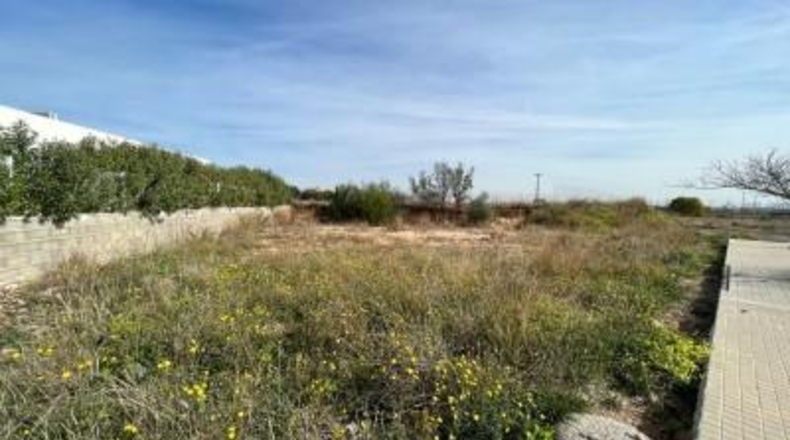 València - Torrente - 406m2