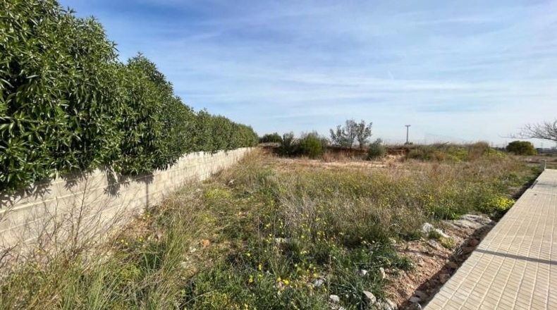 València - Torrente - 406m2