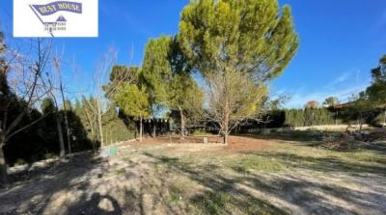 Albacete - Albacete - 1369m2