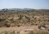 Land suitable for development for sale on España, Elda, ref: TR146024 photo