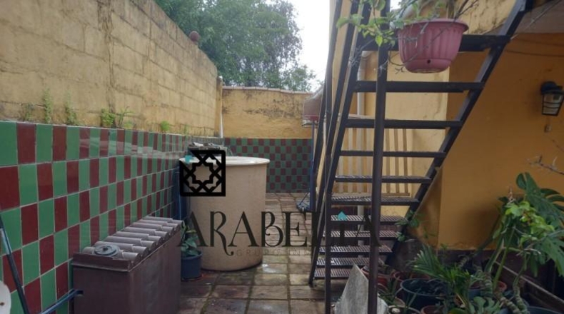 Córdoba - Córdoba - 385m2