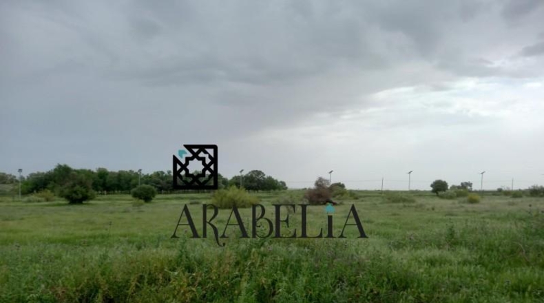 Córdoba - Córdoba - 385m2