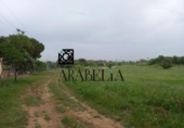 Casa de camp amb terreny en venda a la España, Còrdova, ref.: TR405164 foto