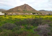 Terreno no urbanizable en venta en la España, La Oliva, ref: TR403293 foto