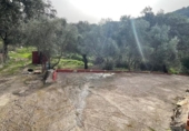 Finca rústica en venda a la España, Villaharta, ref.: TR409620 foto