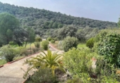 Finca rústica en venda a la España, Villaharta, ref.: TR409620 foto