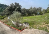Finca rústica en venda a la España, Villaharta, ref.: TR409617 foto