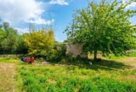 Foto 13