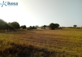 Parcela urbanizable en venta en la España, Pinares de Lepe, ref: TR244556 foto