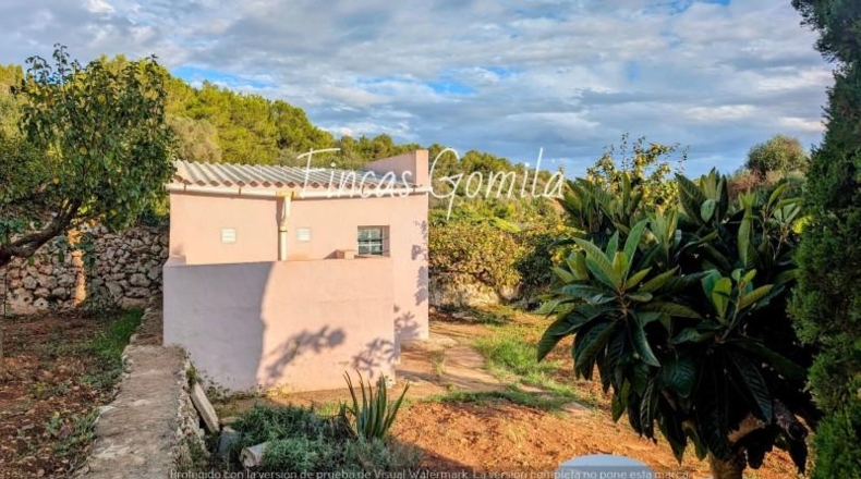 Islas Baleares - Alayor - 1800m2